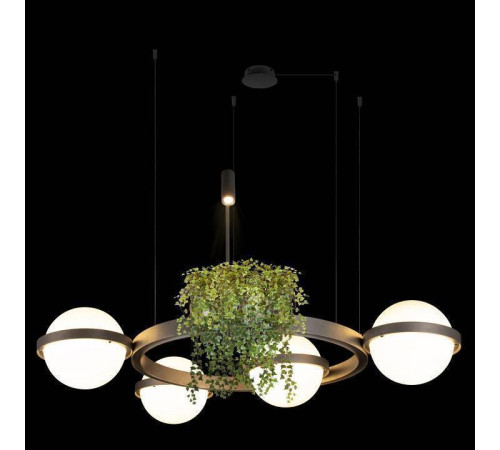 Подвесная люстра Loft it Jardin 10121/4 Dark grey