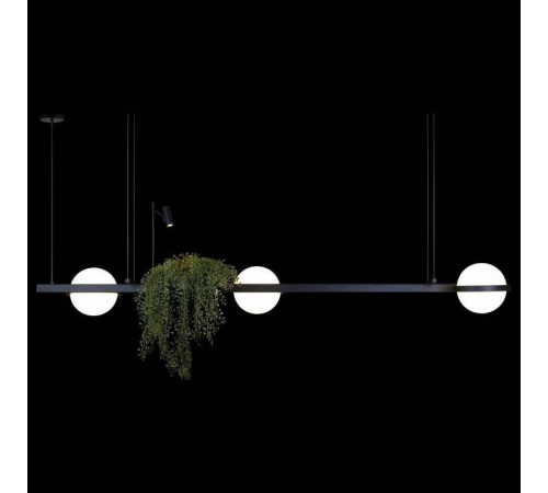 Подвесной светильник Loft it Jardin 10121/C