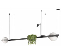 Подвесной светильник Loft it Jardin 10121/C Dark grey