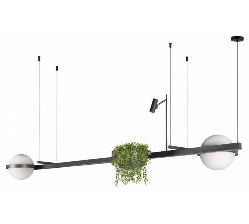 Подвесной светильник Loft it Jardin 10121/C Dark grey