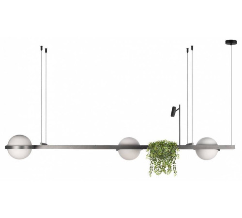 Подвесной светильник Loft it Jardin 10121/C Dark grey