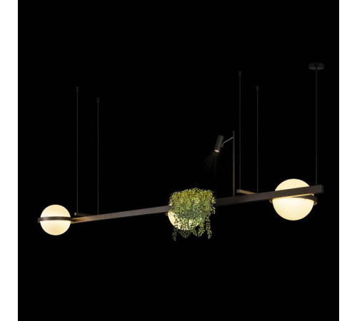 Подвесной светильник Loft it Jardin 10121/C Dark grey