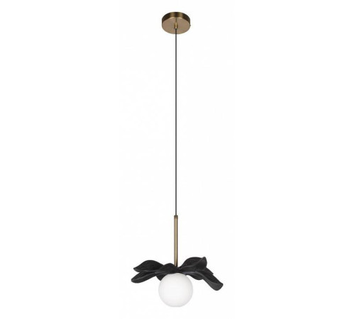 Подвесной светильник Loft it Monro 10213/A Black