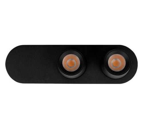 Накладной светильник Loft it Quiet 10320/2 Black