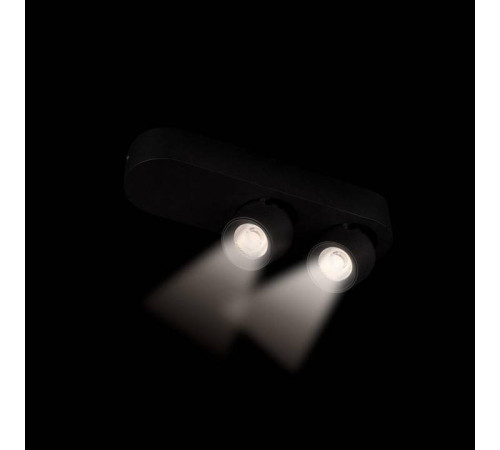 Накладной светильник Loft it Quiet 10320/2 Black