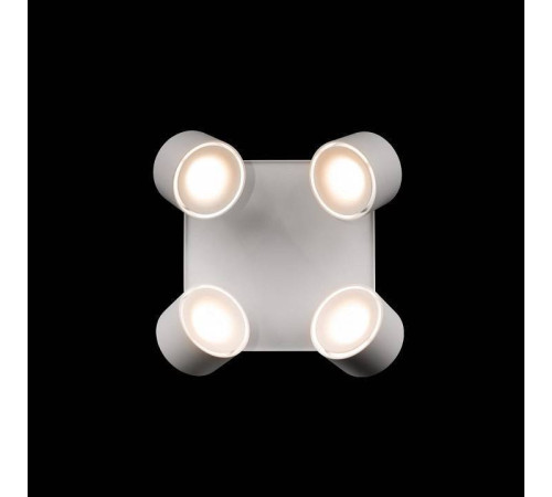 Спот Loft it Case 10326 White