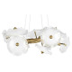 Подвесная люстра Loft it Bloom 10352/650 AB
