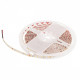 Лента светодиодная Loft it Strip 10363/12020 WW