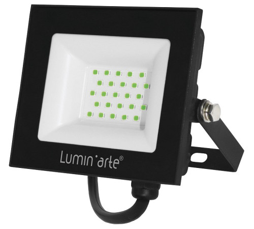 Настенно-потолочный прожектор Luminarte LFL LFL-30W/07