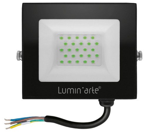 Настенно-потолочный прожектор Luminarte LFL LFL-30W/07