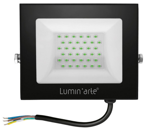 Настенно-потолочный прожектор Luminarte LFL LFL-50W/07