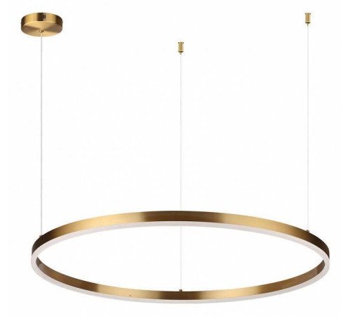 Подвесной светильник Lumion Echo 6531/67L