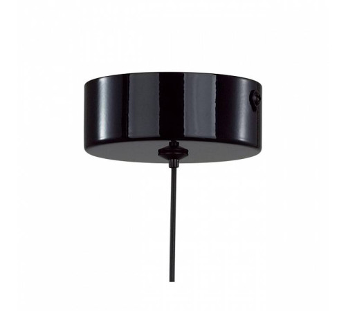 Подвесной светильник Lumion Globe 6568/6L