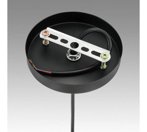 Подвесной светильник Lumion Elenika 8056/1А