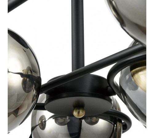 Люстра на штанге Lumion CAMILIE 8060/6C