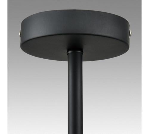 Люстра на штанге Lumion CAMILIE 8060/6C