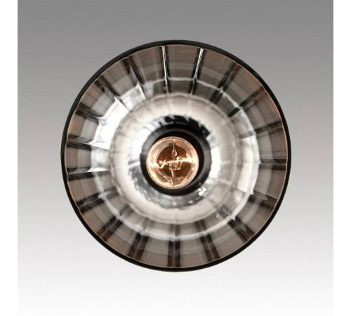 Подвесной светильник Lumion Lorenzo 8063/1A