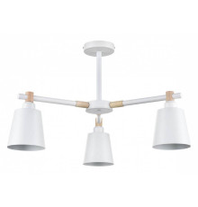 Люстра на штанге Lumion Rosalina 8097/3C