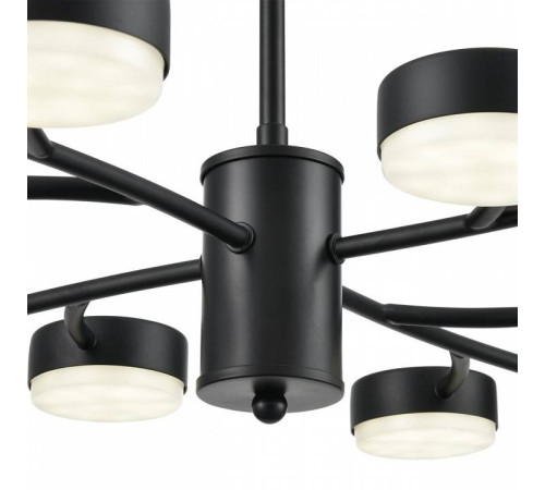 Люстра на штанге Lumion Torina 8117/12