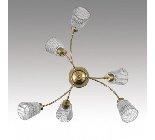 Люстра на штанге Lumion IMANA 8154/6C