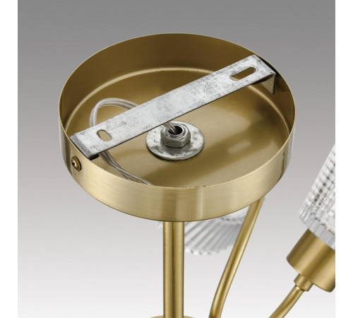 Люстра на штанге Lumion IMANA 8154/6C