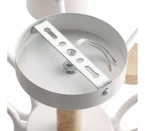 Потолочная люстра Lumion Rondo 8196/10C