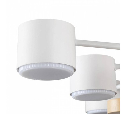 Потолочная люстра Lumion Rondo 8196/10C