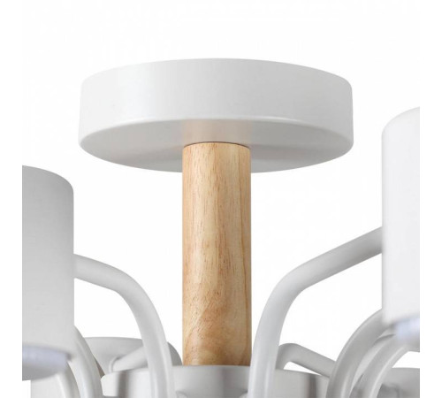 Потолочная люстра Lumion Rondo 8196/10C