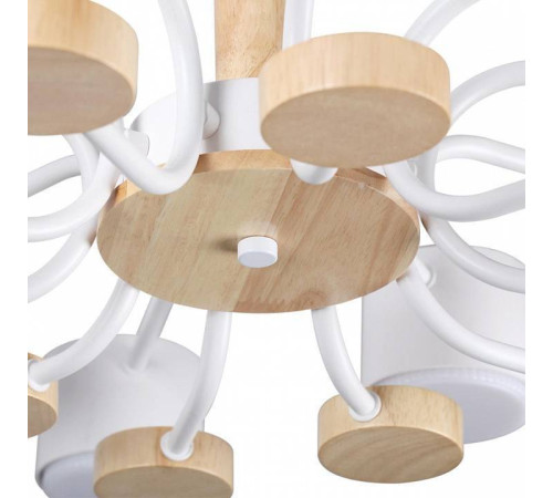 Потолочная люстра Lumion Rondo 8196/10C