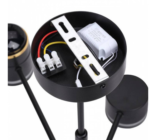 Люстра на штанге Lumion Virsava 8234/8C