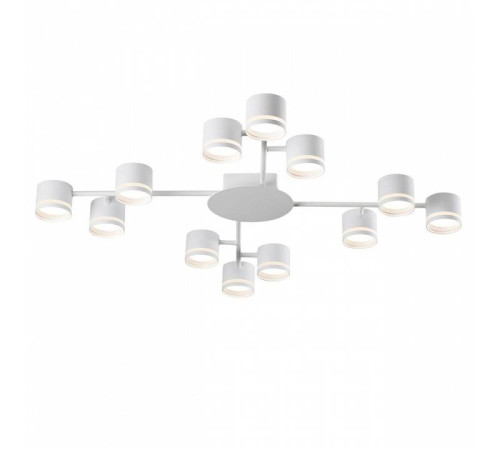 Потолочная люстра Lumion Gareta 8235/12C