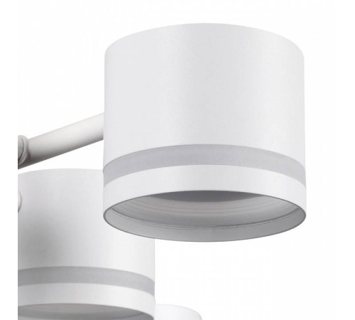 Потолочная люстра Lumion Gareta 8235/12C