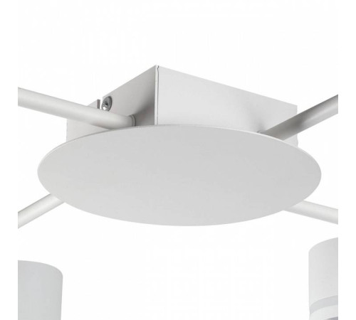 Потолочная люстра Lumion Gareta 8235/12C