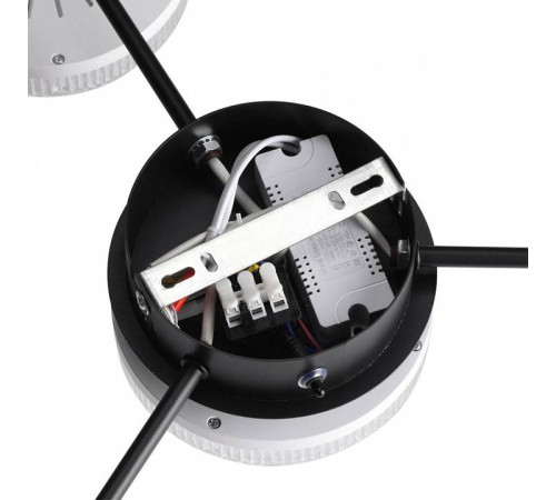 Потолочная люстра Lumion Didana 8236/4CL