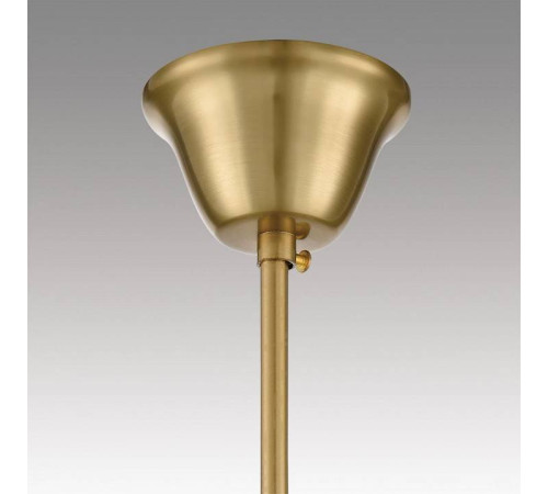 Подвесная люстра Lumion Kristina 8243/8