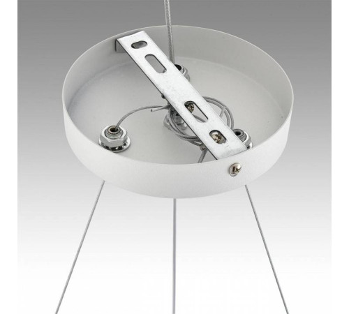 Подвесная люстра Lumion Luazana 8254/6