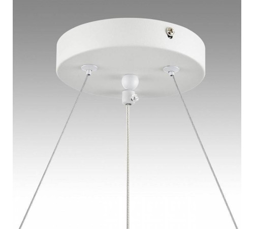 Подвесная люстра Lumion Luazana 8254/6