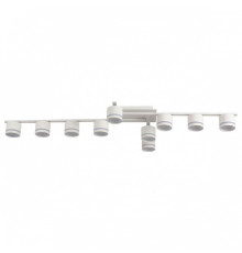 Потолочная люстра Lumion AGNIA 8303/10C