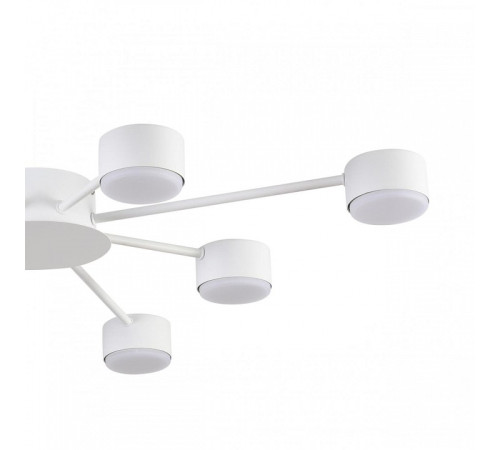 Потолочная люстра Lumion TORINA 8343/8C