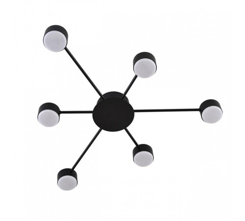 Потолочная люстра Lumion TORINA 8344/6C