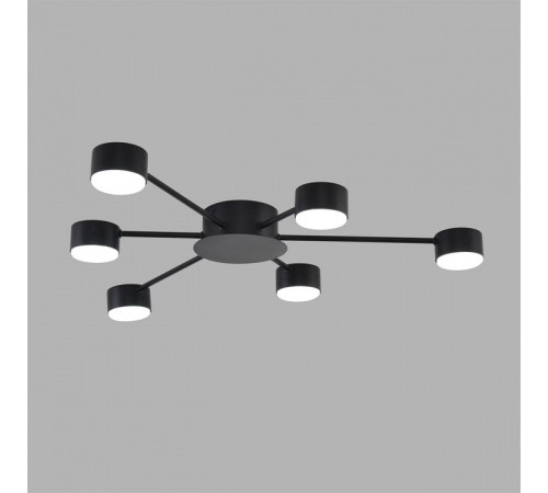 Потолочная люстра Lumion TORINA 8344/6C