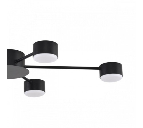 Потолочная люстра Lumion TORINA 8344/6C