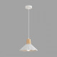Подвесной светильник Lumion EOLIANA 8352/1A
