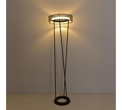 Торшер Lumion LEDIO 8370/30FL
