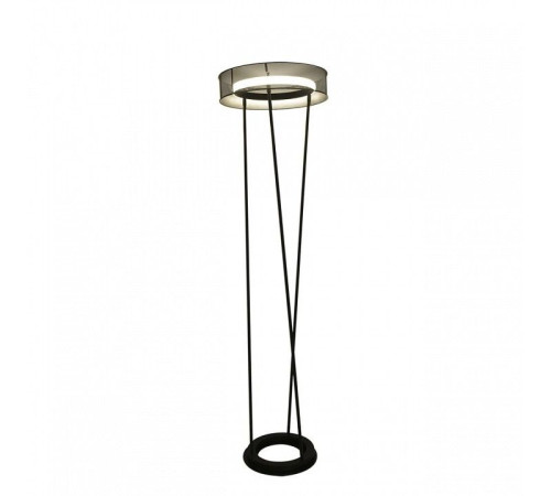 Торшер Lumion LEDIO 8370/30FL