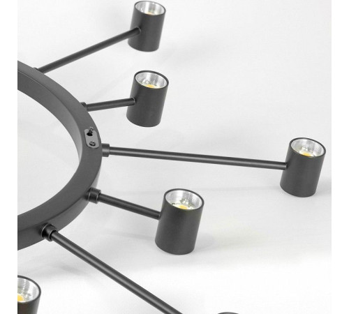 Подвесная люстра Lussole Hopkins LSP-7407