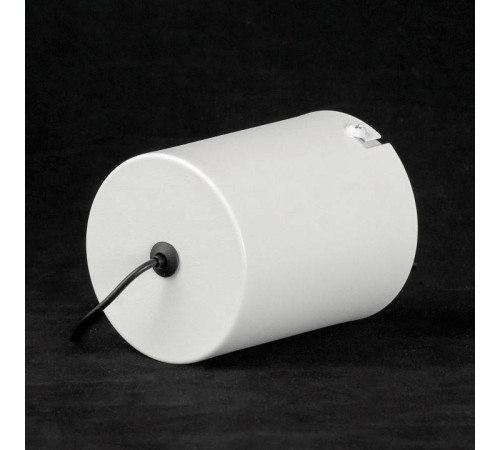 Подвесной светильник Lussole REFUGIO LSP-7431