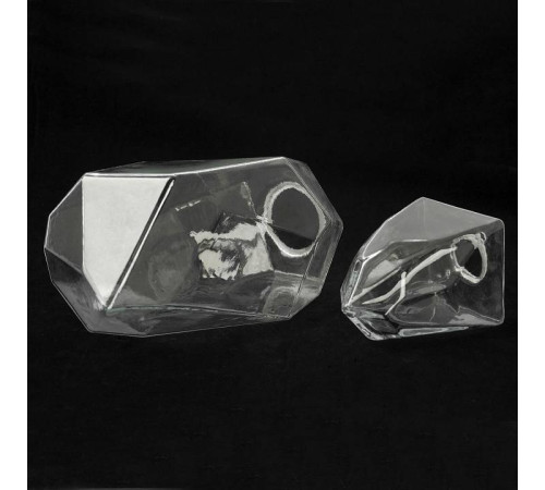 Люстра на штанге Lussole Antioch LSP-8849