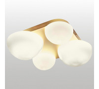 Накладной светильник Lussole Moore LSP-8990