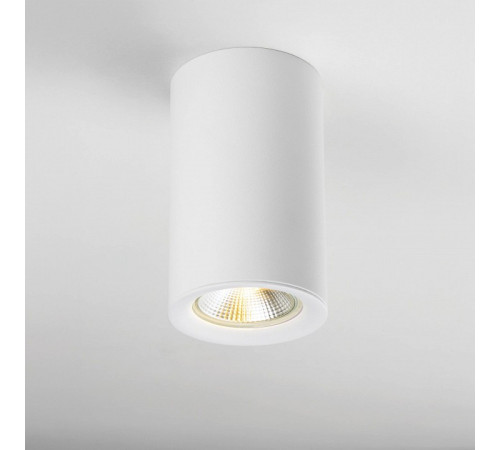 Рамка на 1 светильник Lightstar Rullo 204436